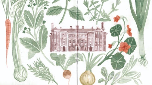 A sketchbook illustration of Ham House surrounded by vegetables